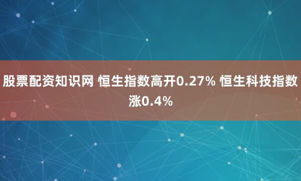 股票配资知识网 恒生指数高开0.27% 恒生科技指数涨0.4%