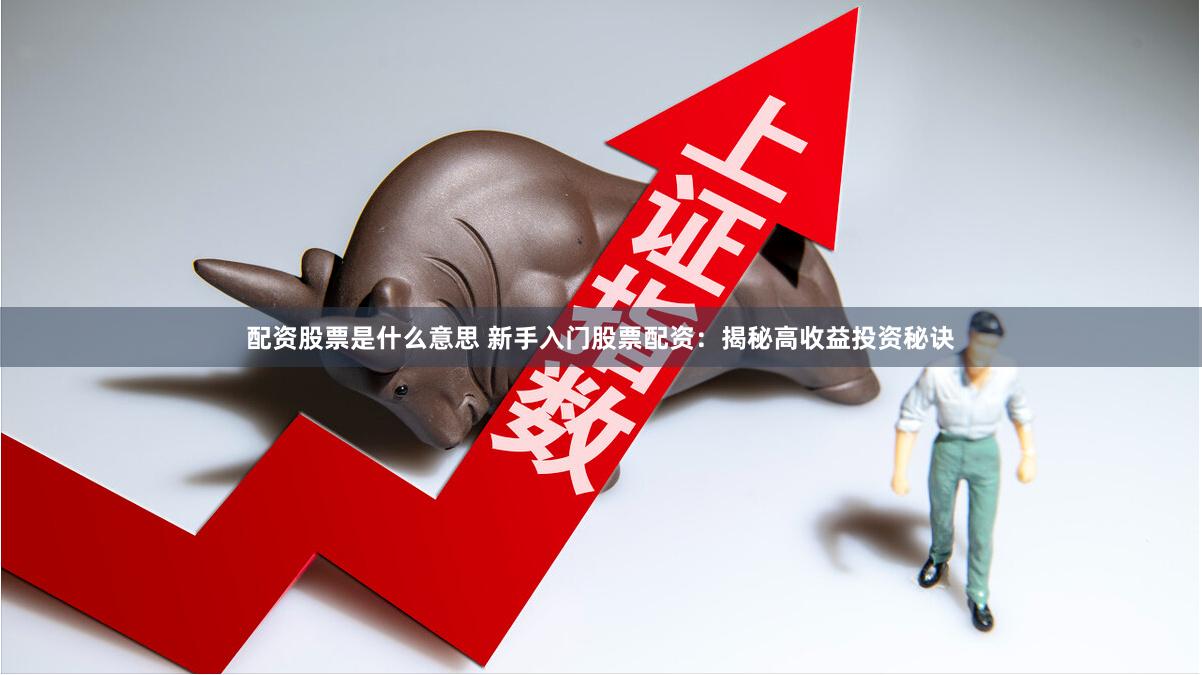 配资股票是什么意思 新手入门股票配资：揭秘高收益投资秘诀