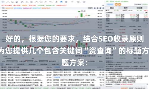 好的，根据您的要求，结合SEO收录原则，为您提供几个包含关键词“资查询”的标题方案：